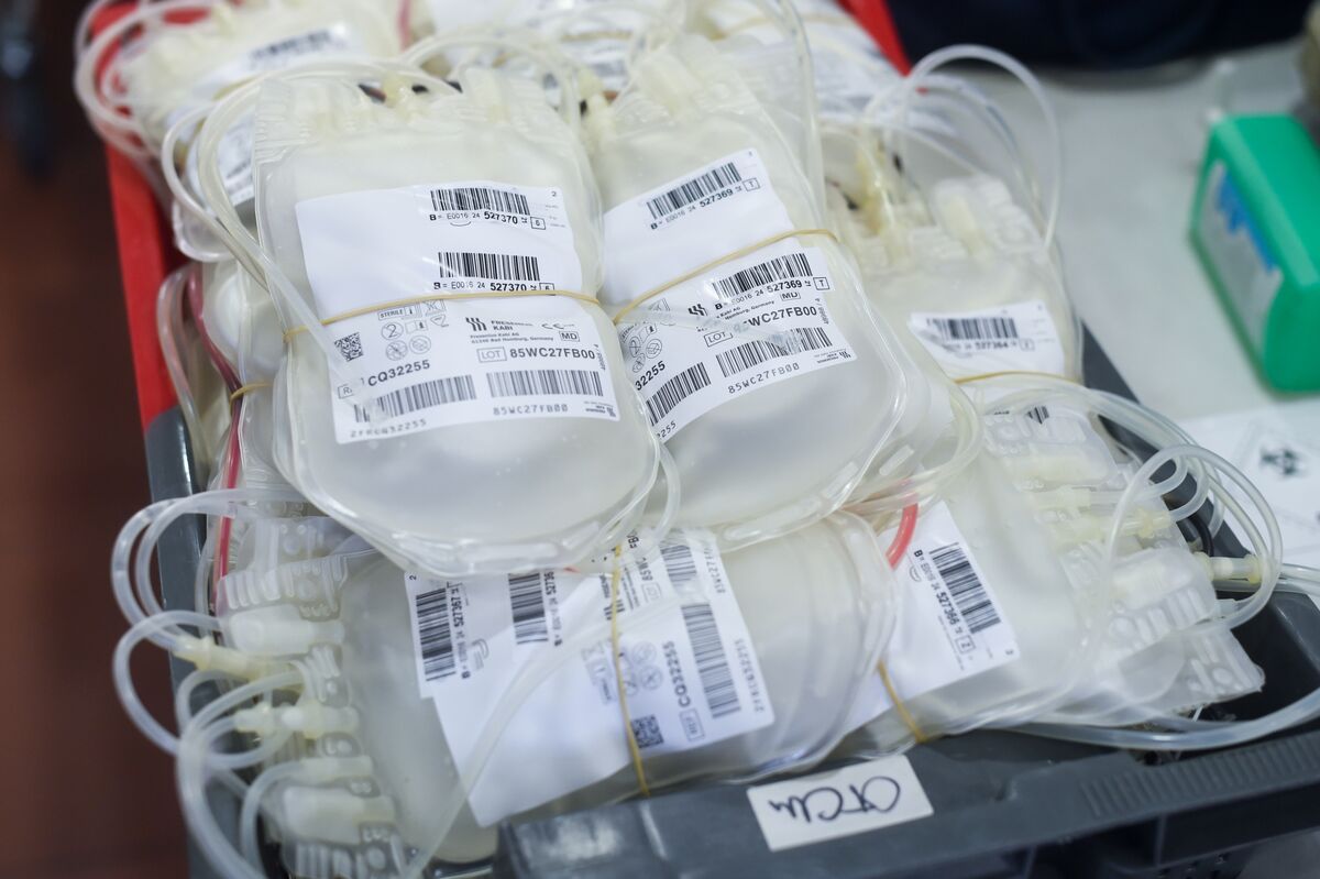 🟪"Taiwan avvia la produzione di sacche di sangue: una mossa strategica per la sicurezza in caso di conflitto con la Cina"