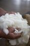 After the sheep are sheared, the wool is collected in batches and sent to Zegna's factory in Trivero, Italy.