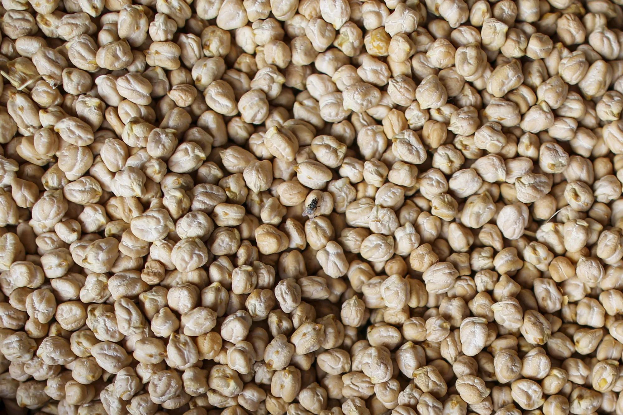 A 3,000-Year-Old Pea Could Solve India's Inflation Woes