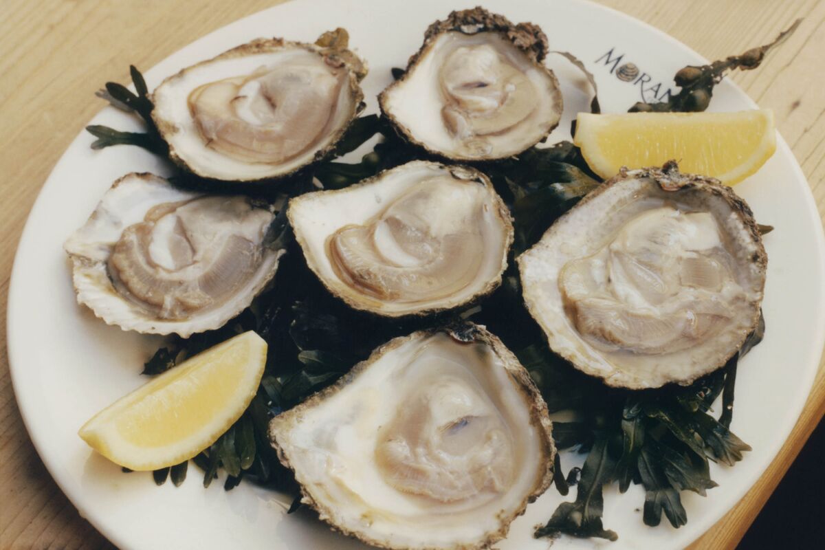 Galway Ireland Has the Best Native Oysters on Earth - Bloomberg