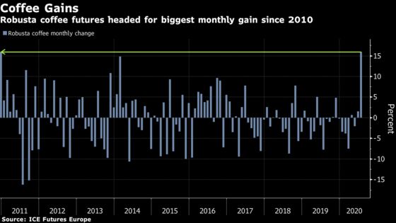 Robusta Coffee Heads for Biggest Monthly Gain in a Decade