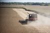 Soybeans are harvested with a Case IH Agricultural Equipment Inc. combine harvester in Princeton, Illinois, U.S., on Friday, Sept. 29, 2017. Soybean futures for November delivery rose 0.1% a bushel on the Chicago Board of Trade after falling as much as 0.5%, the lowest since September 13.