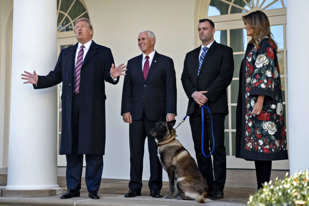 Woof.