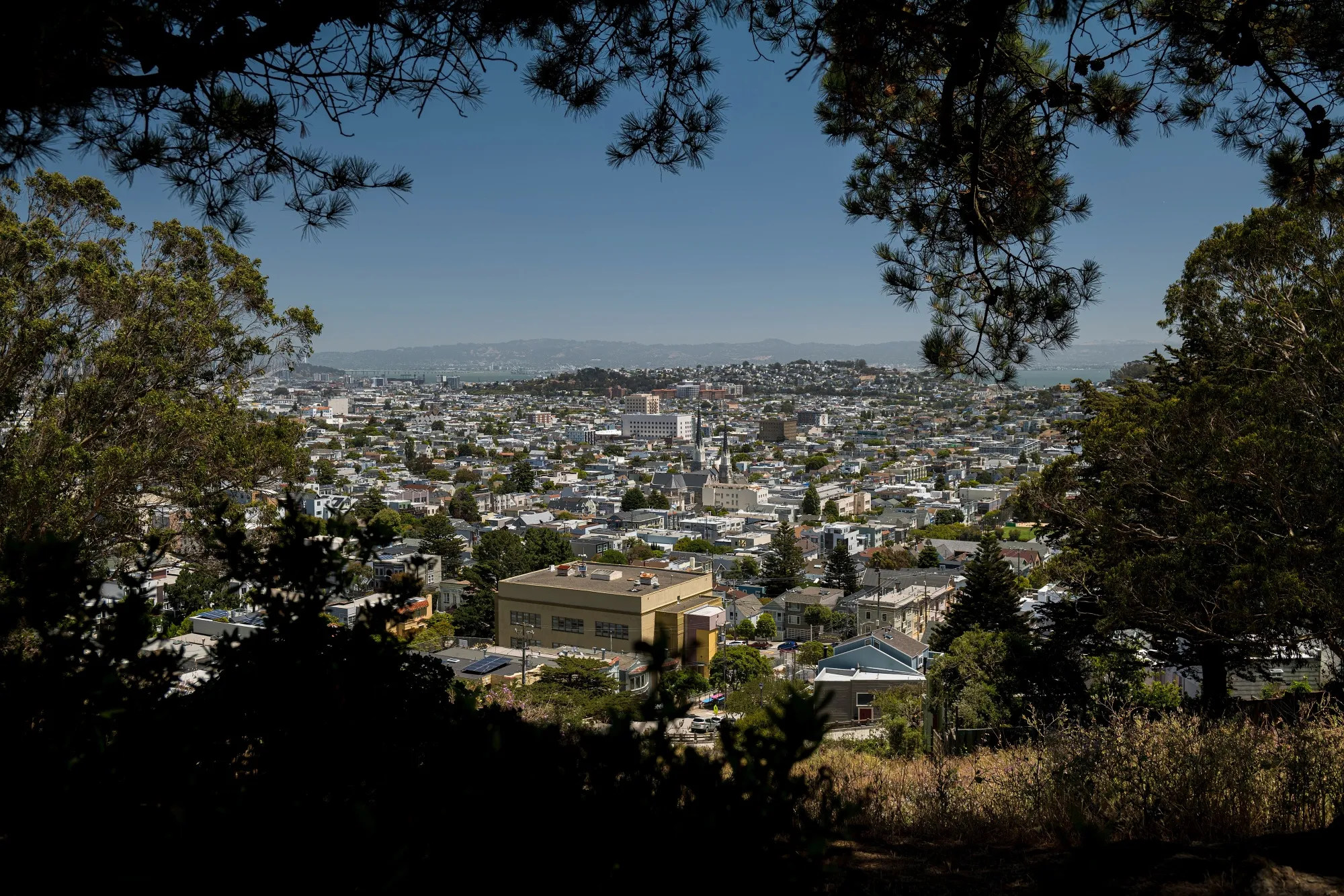 Tech's Embrace Of Remote Work Sends San Francisco Rents Plunging