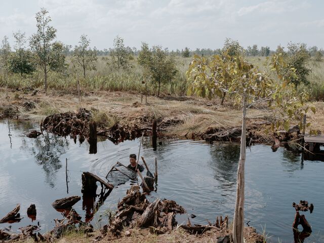 A local resident checks a fish trap in a canal. Rimba Raya officials hope to generate more funds in the future for additional community development, education and healthcare.