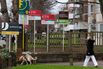 Focus On: UK Housing Market Ahead of Bank of England Interest Rate Decision