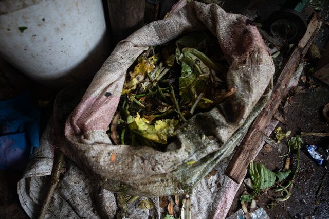 Organic trash in a cloth bag at a BSF farm.
