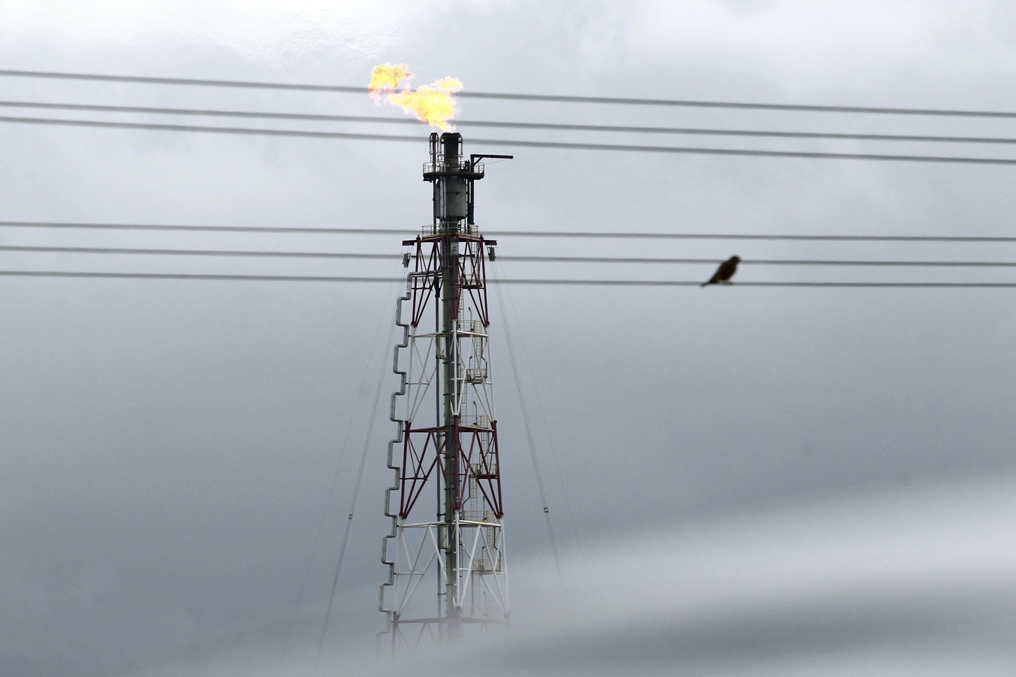 An oil refinery in Algeria. Photographer: Fateh Guidoum/AP