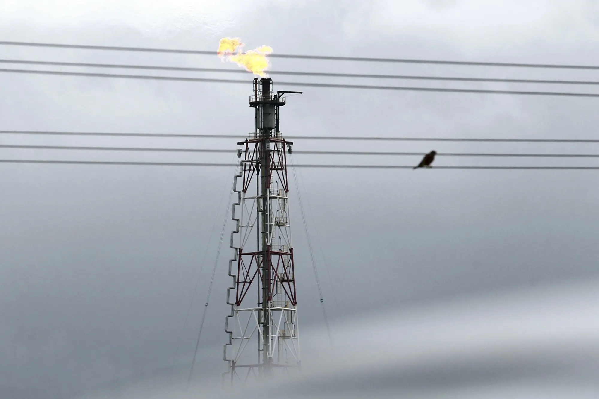An oil refinery in Algeria.