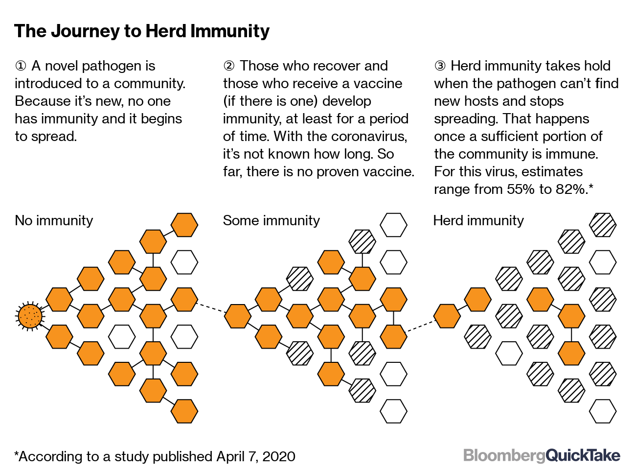 The Journey to Herd Immunity