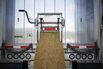 1506961563_shelley-dicamba