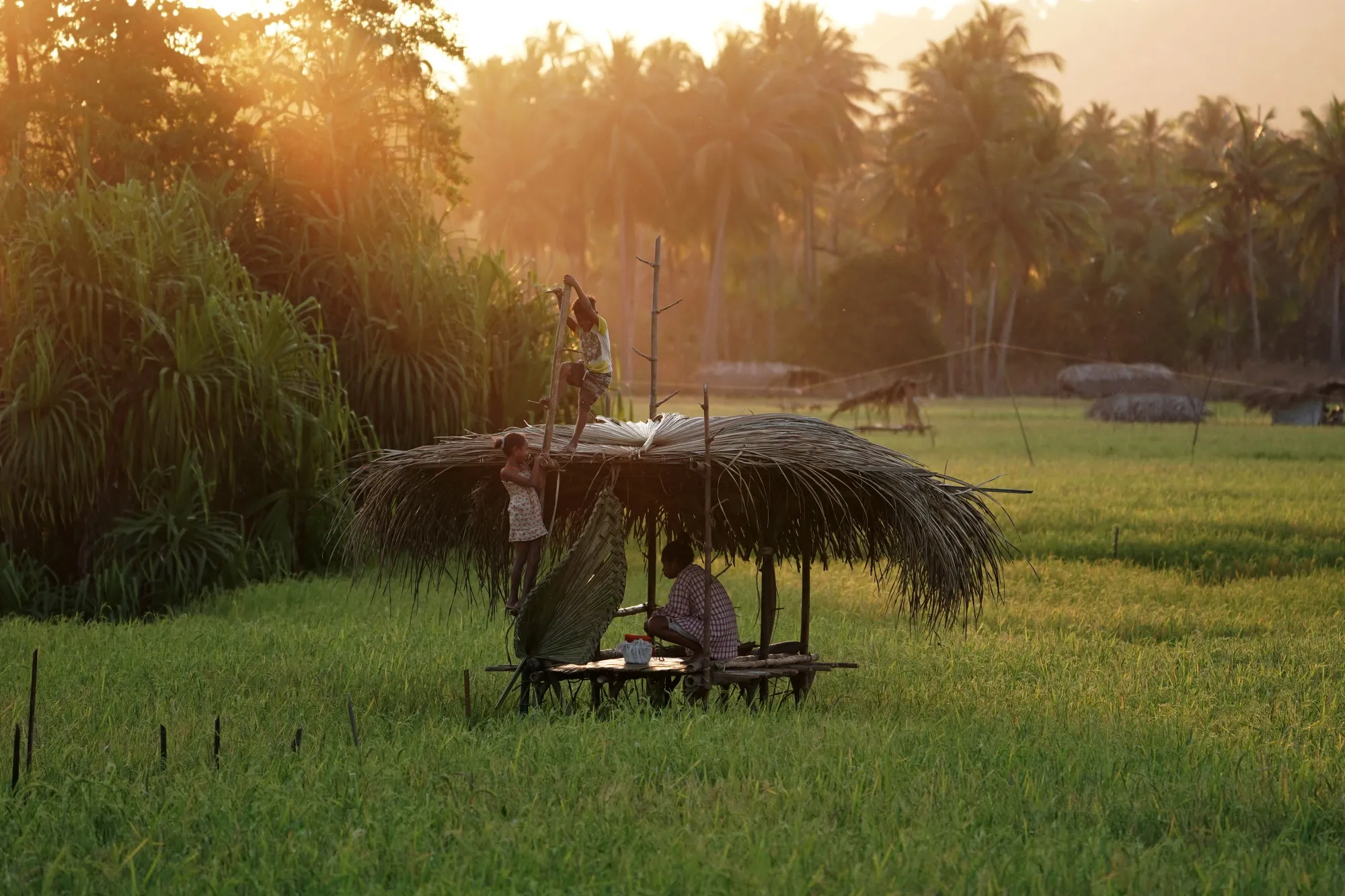 Rice is the staple food in Indonesia and the country has long pushed for self-sufficiency to ensure stable supplies and prices for its 270 million people.