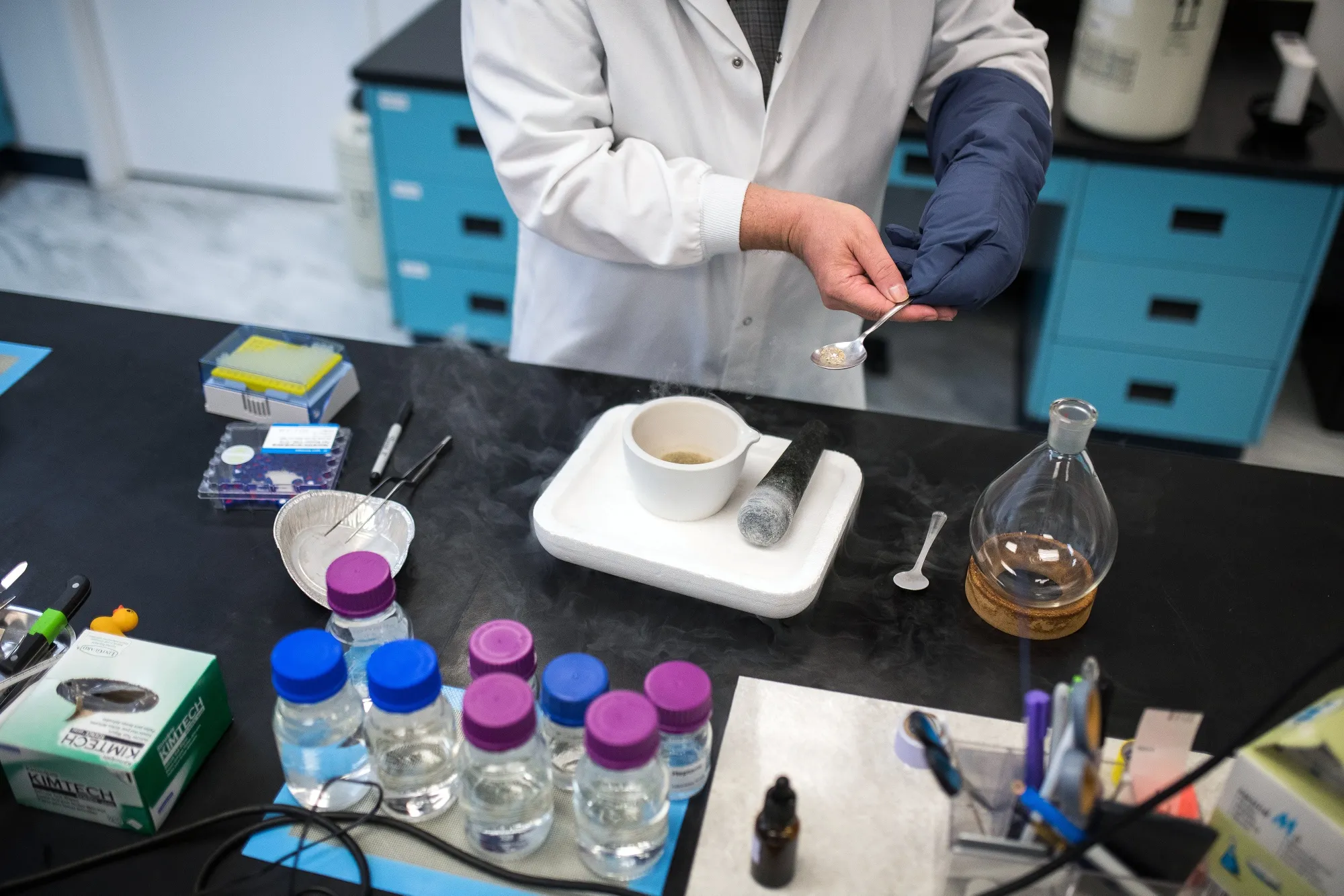 A lab worker processes psilocybin mushrooms.