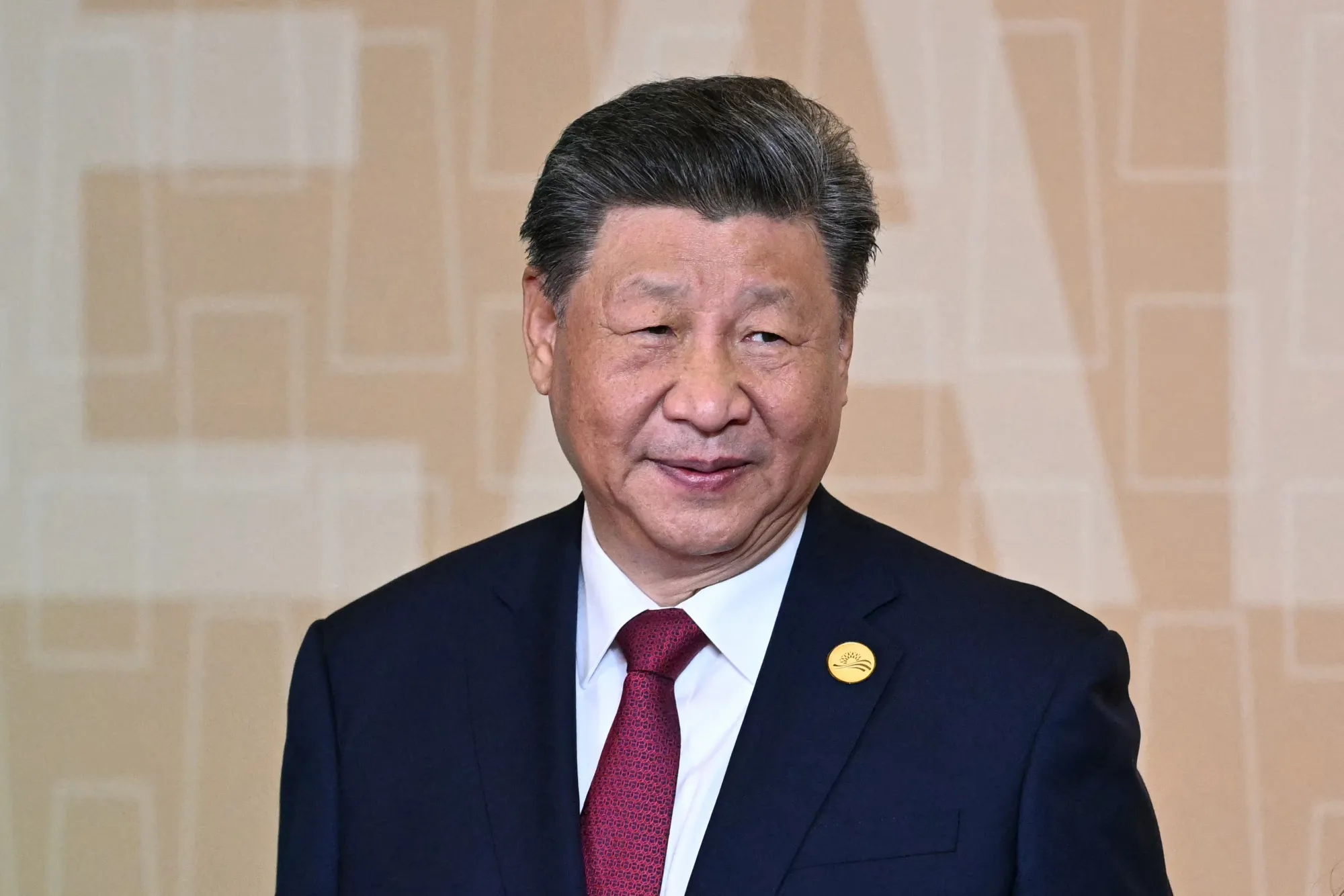 Xi Jinping&nbsp;