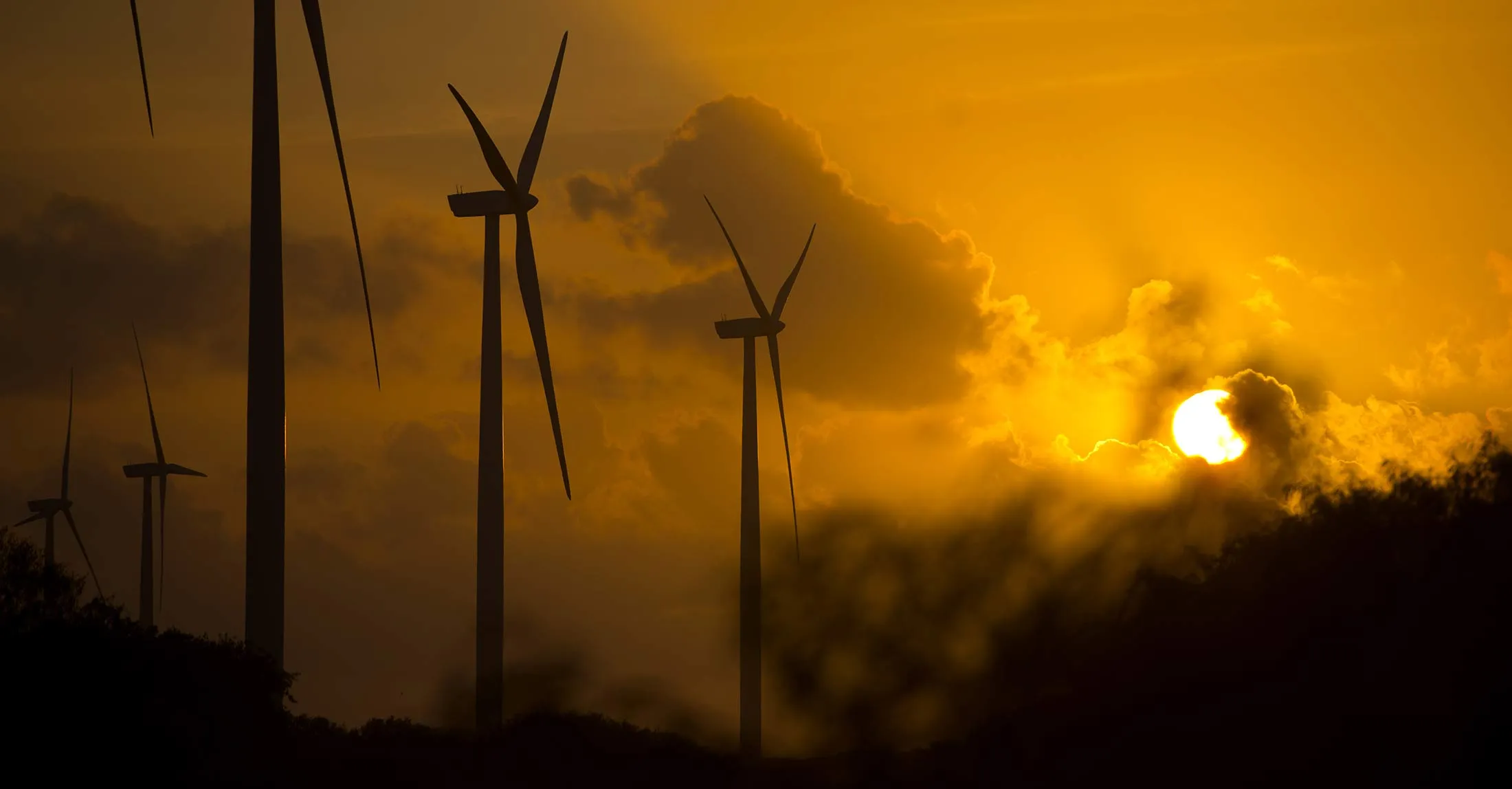 1499276191_texas-wind-large-lede