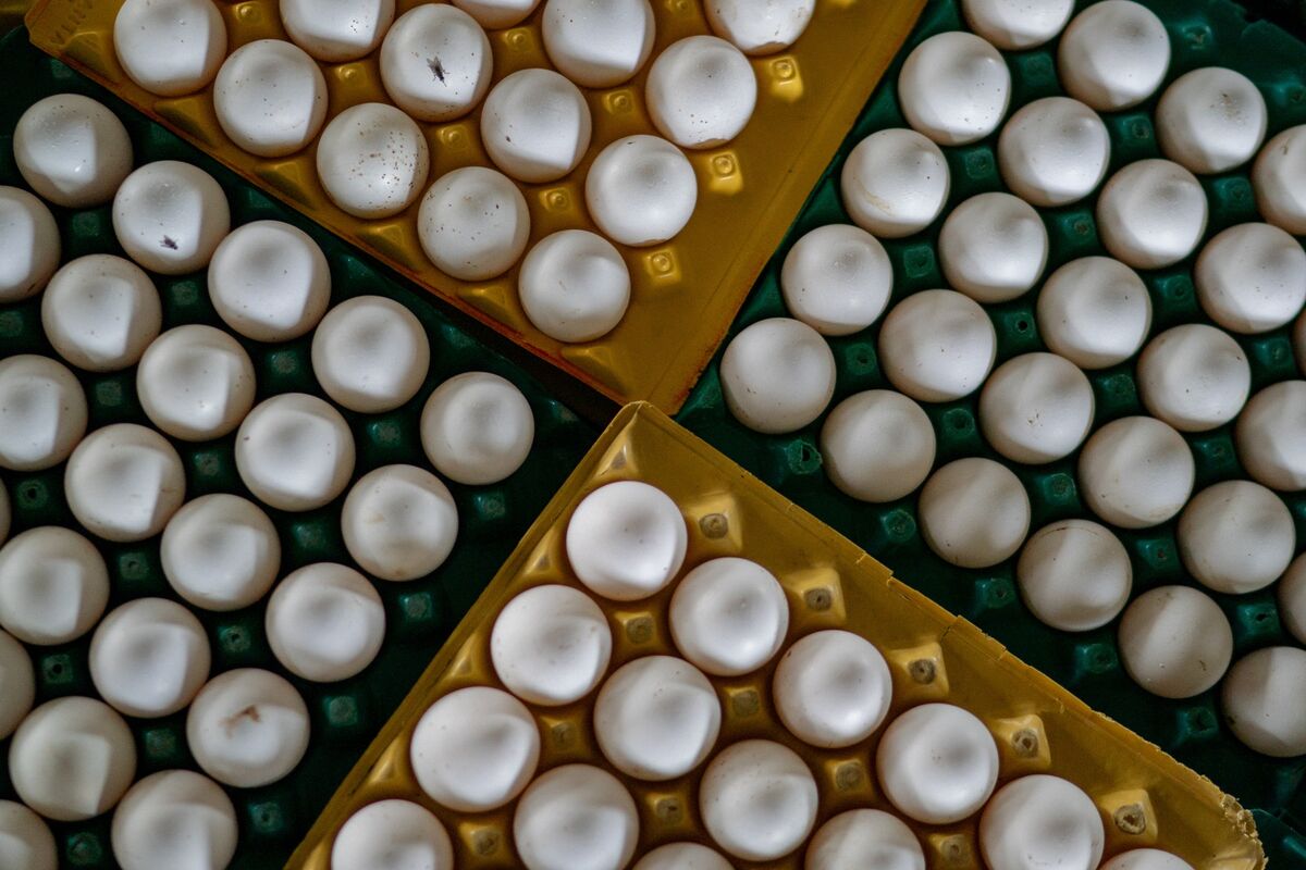 Warburg Pincus Is Set to Invest in Global Eggs at $8 Billion Valuation Kép