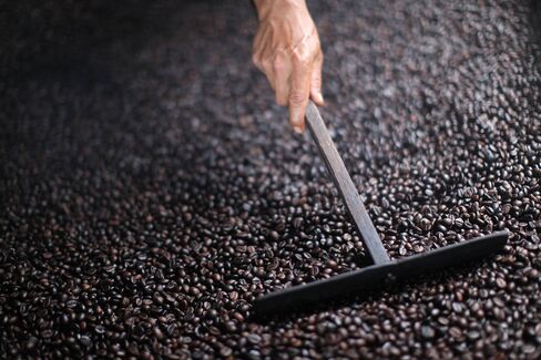 Indonesian Coffee Harvesting & Processing