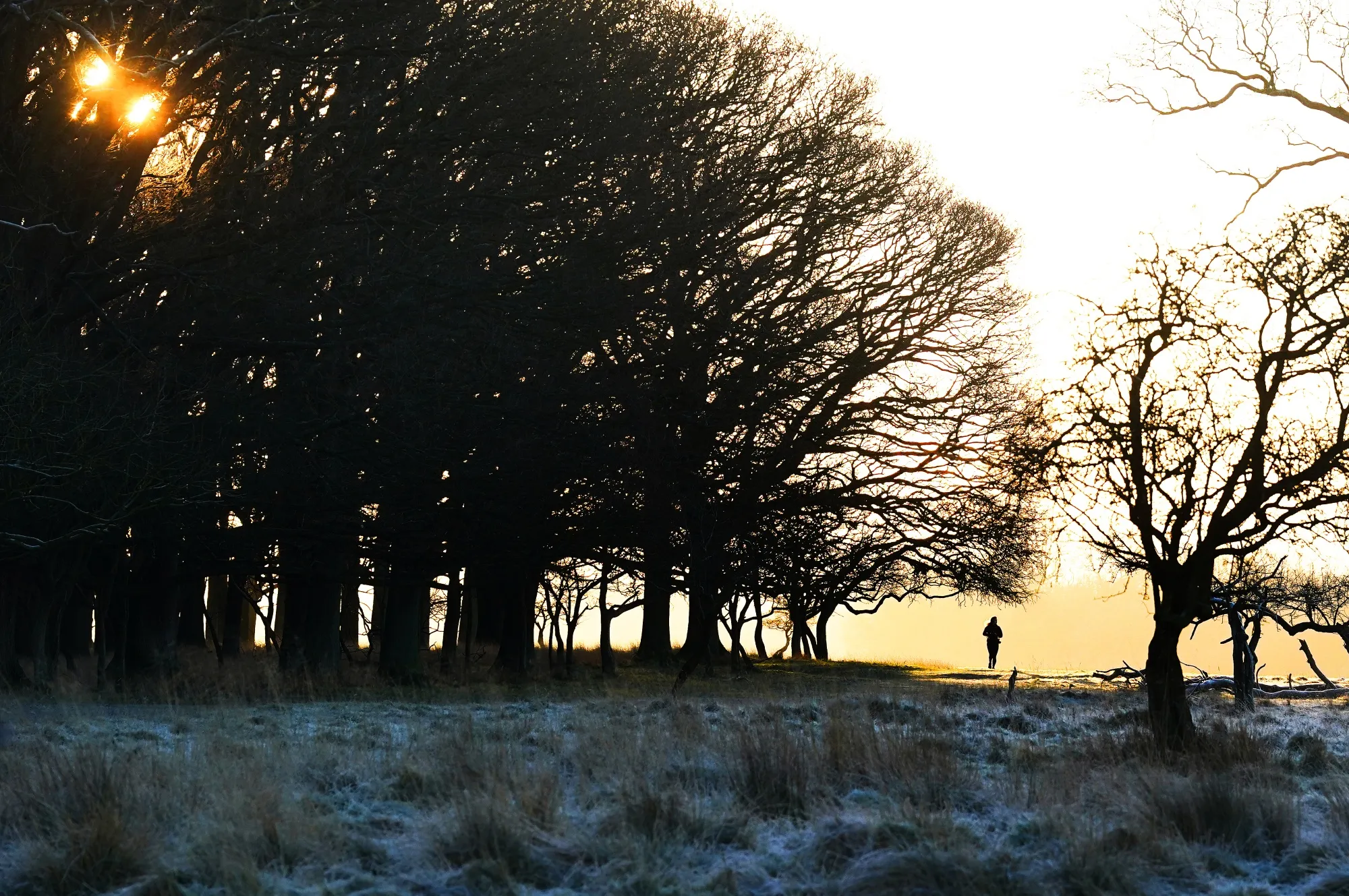 Phoenix Park in Dublin, Jan 3.