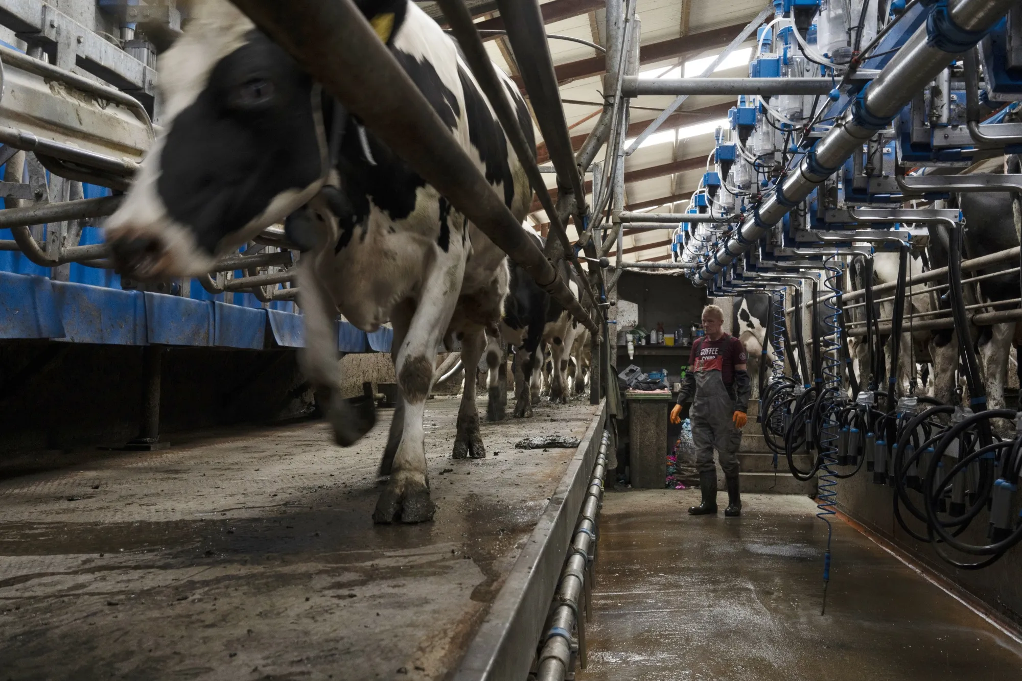 Agriculture remains a stubborn source of methane emissions, but a new technology could help address the problem.