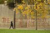 A pedestrian wearing a face-mask walks past graffiti in Manchester on Oct. 16.