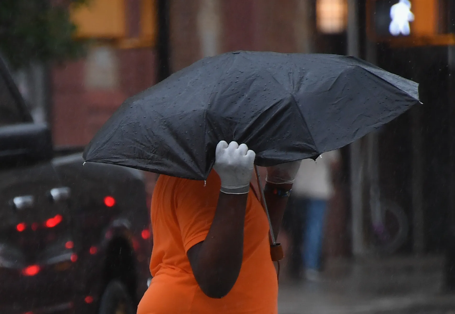 Protection from Hurricane Treasury.
