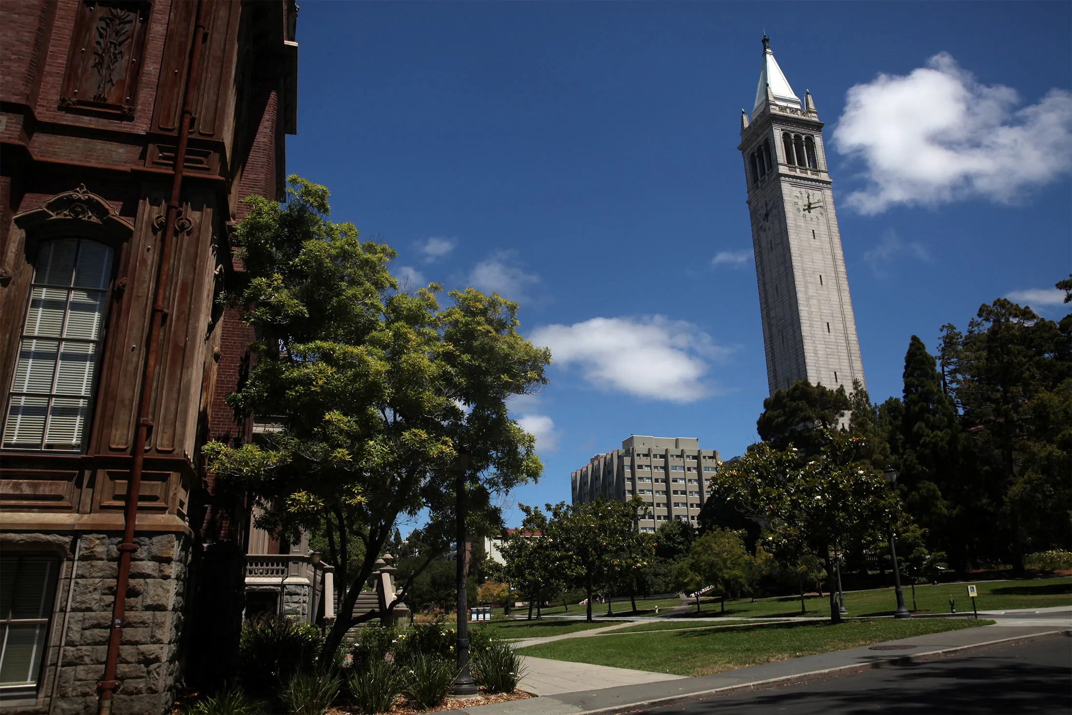 The&nbsp;University of California&nbsp;at Berkeley campus, in Berkeley, Calif.