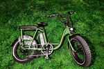 The RadRunner Electric Utility Bike. Prospect Park, Brooklyn, New York, May 3, 2020.