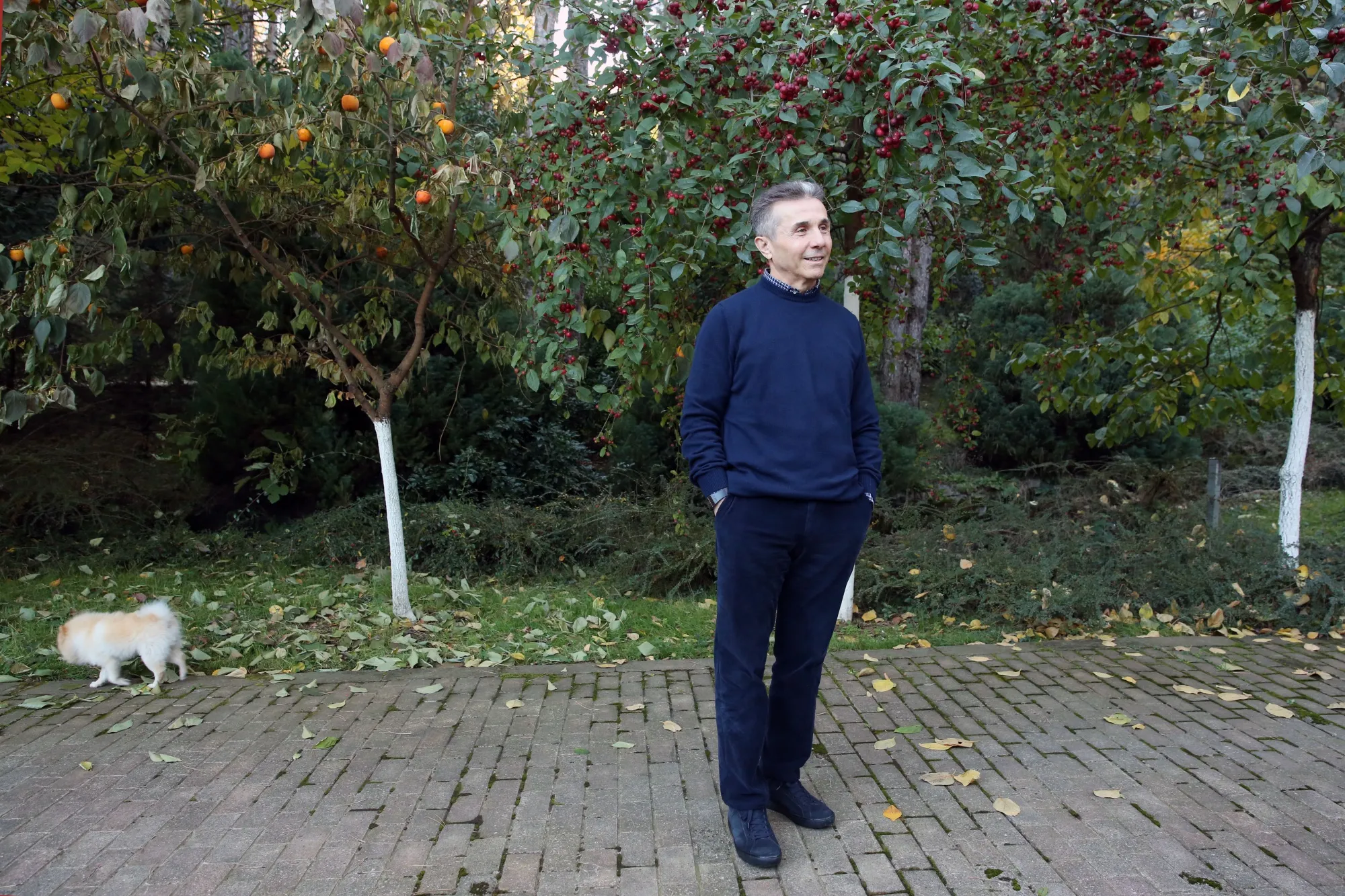 Bidzina Ivanishvili in Georgia on Nov. 8.