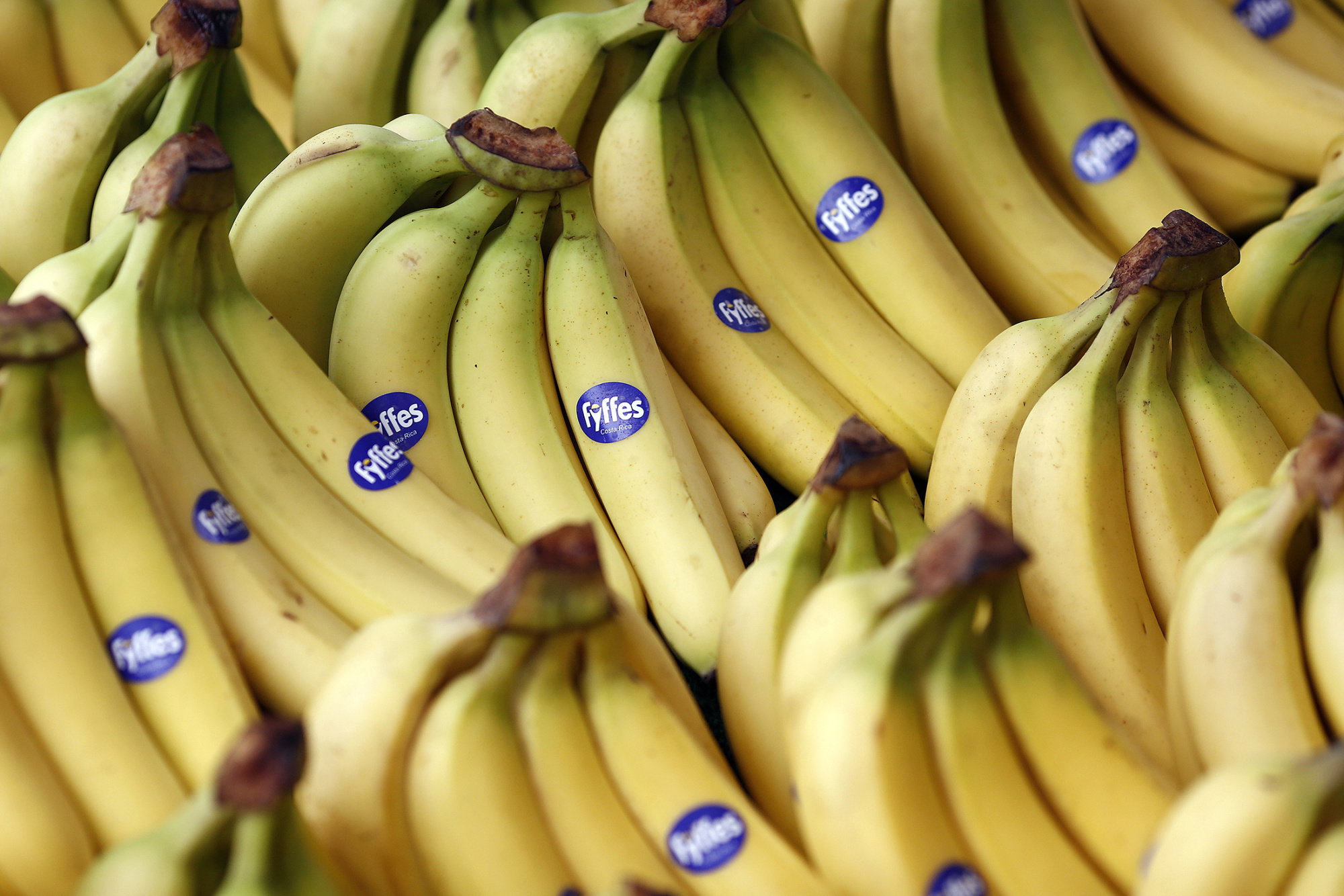 798 Million Japanese Banana Bid Sends Fyffes Shares Soaring Bloomberg