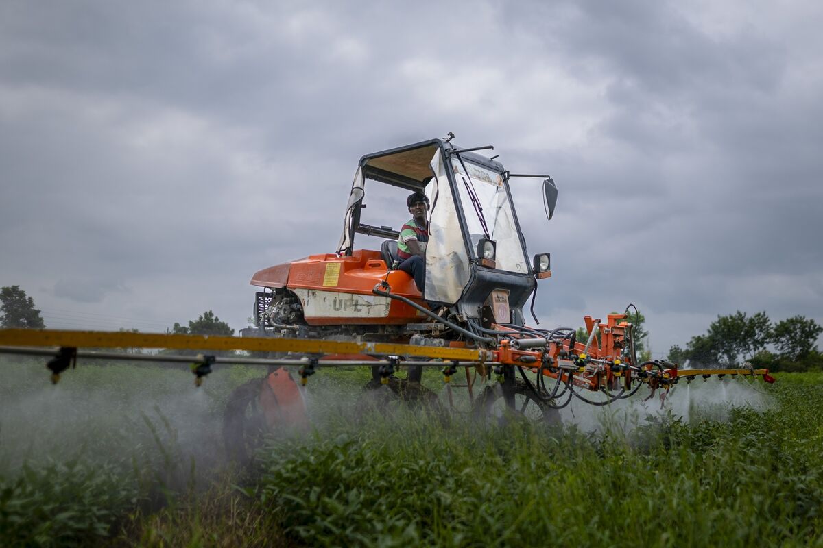 assets.bwbx.io image