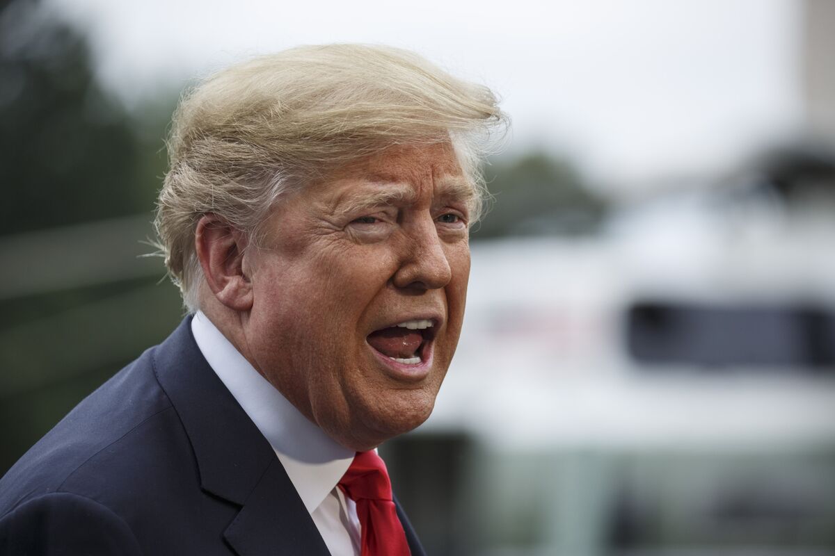 Трамп говорит речь. Trump hope. Помощница трампа. Trump hope. Помощница трампа.