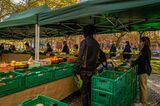 Portuguese Economy as Curbs Extended to Contain Virus