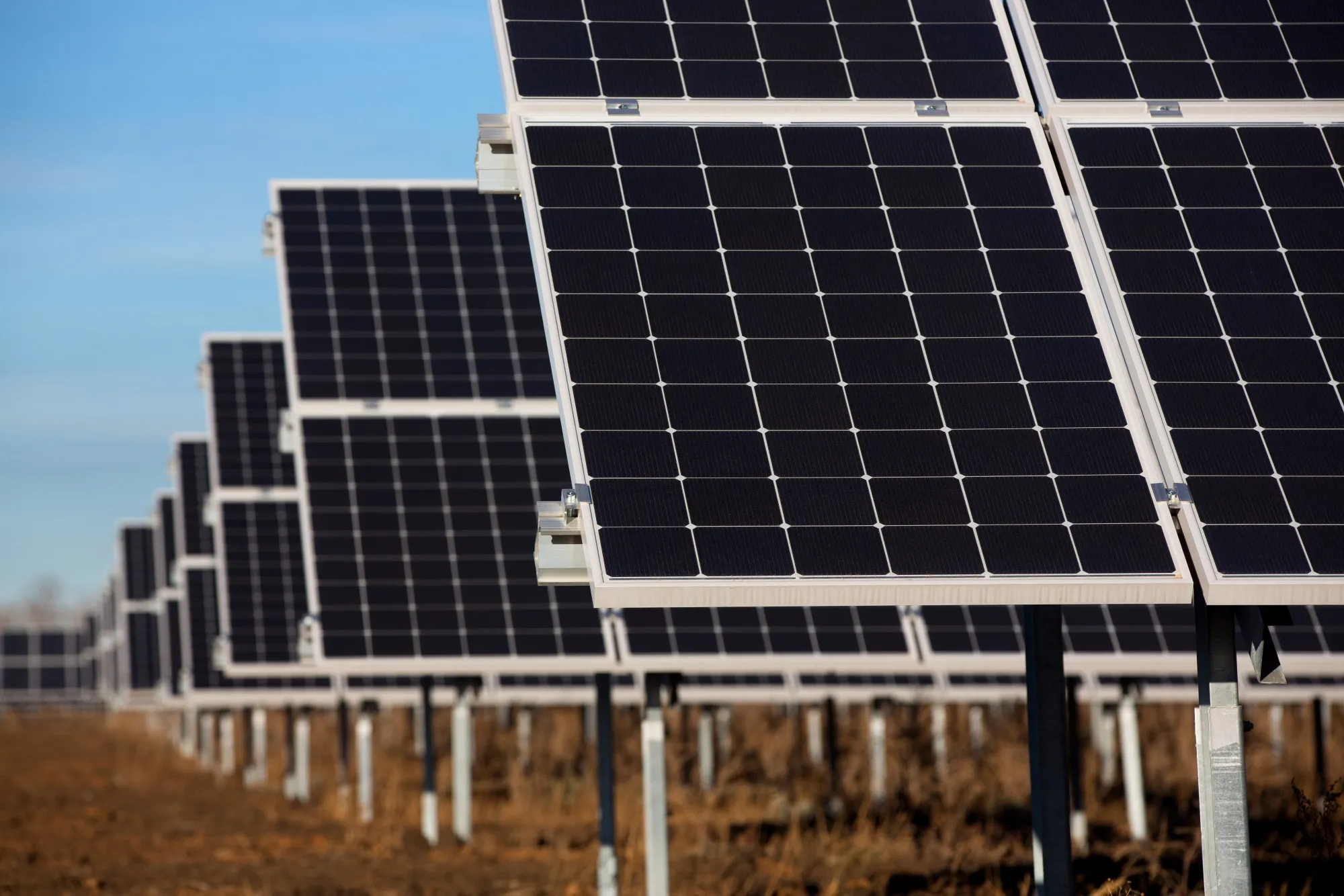 Photovoltaic cells are arranged on solar panels at a solar park in Russia.