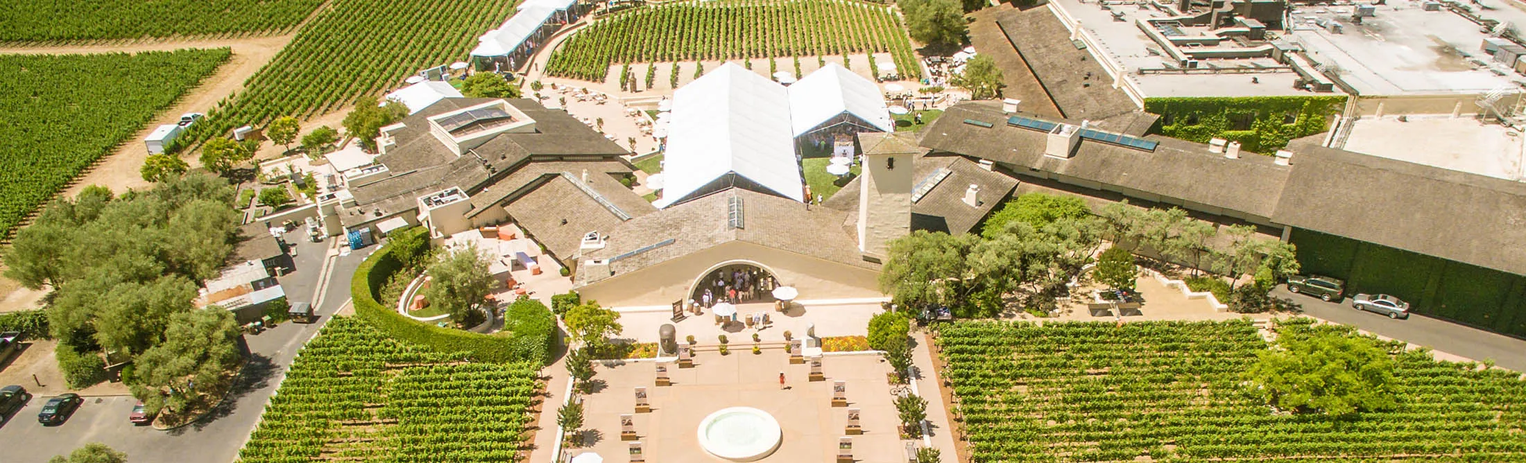 Auction Napa Valley is always a sprawling affair.
