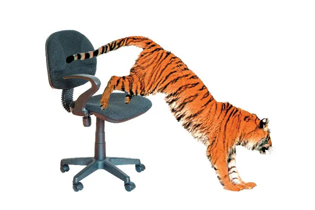 Book Review: Tiger Mom's Superiority Complex