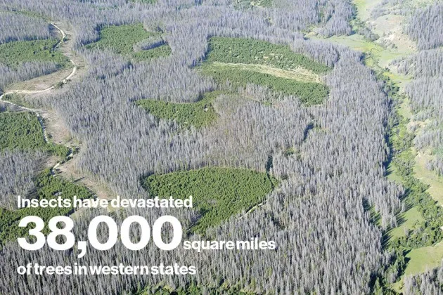 Colorado’s Medicine Bow-Routt National Forest