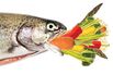 TwoXSea’s Farmed Fish Is Raised on a Fish-Free Diet