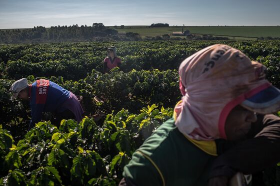 Front-Line Food Workers Agonize: Risk Illness on Job or Go Broke
