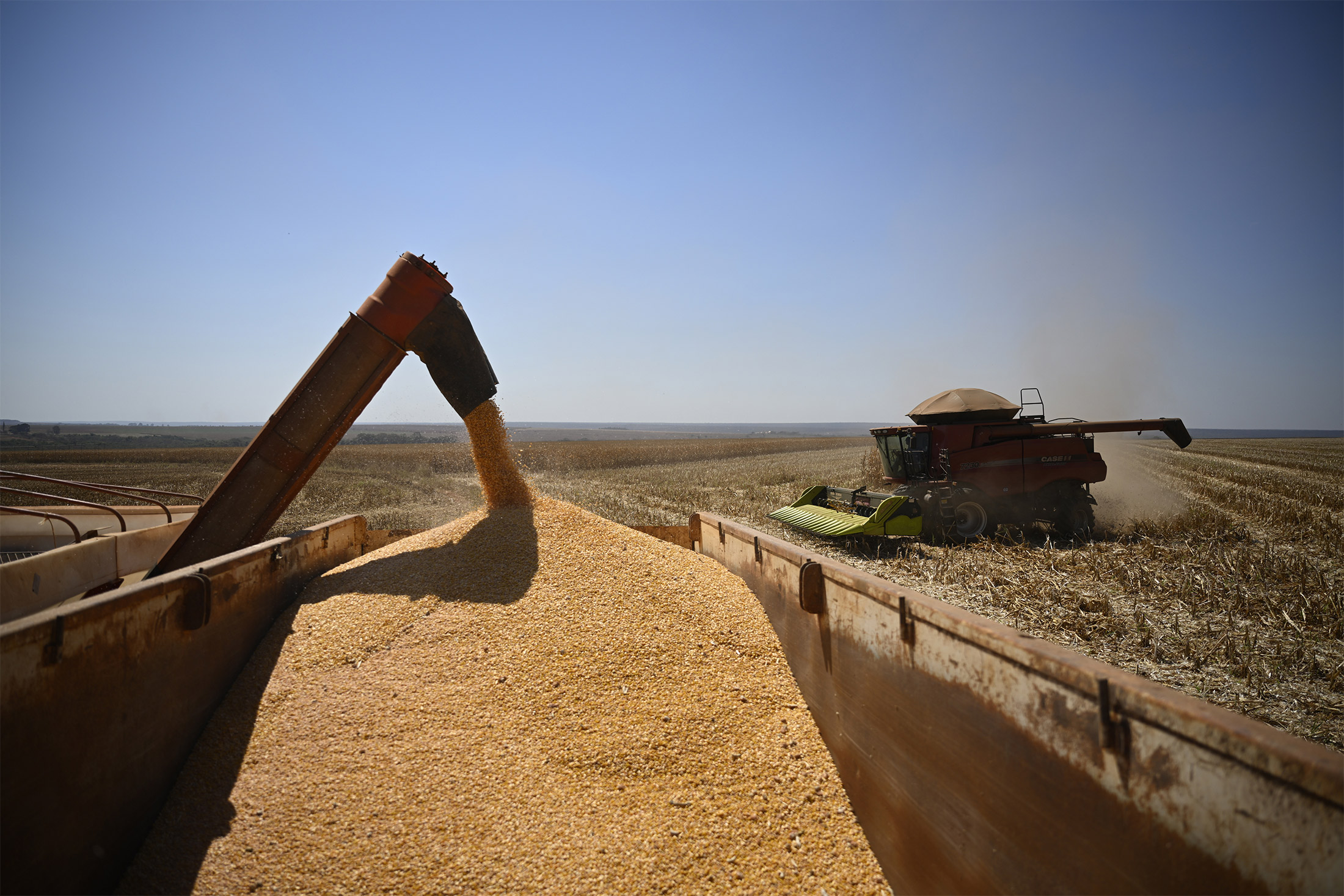 Clarice Couto on LinkedIn: Dry Weather in Key Crop Shipper Brazil