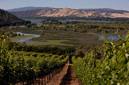In the past decade, a growing number of boutique producers have been drawn to the area’s high elevations and volcanic soils, ideal for high-quality cabernet and sauvignon blanc. Pictured: Vigilance Winery, overlooking Clear Lake, Calif.