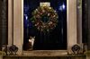 Larry the 10 Downing Street cat sits on the step of 10 Downing Street in central London on December 23, 2020.
