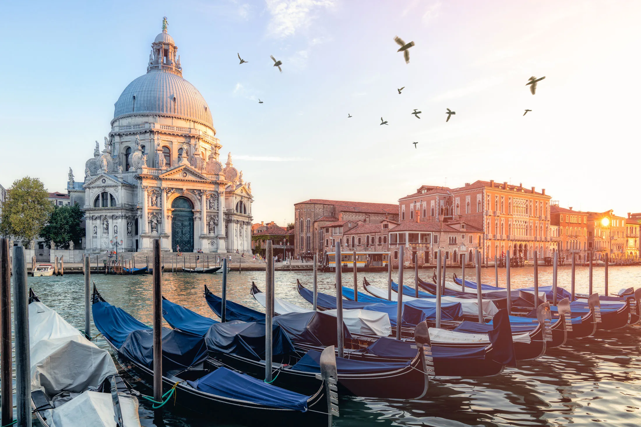 Riverside view of the Santa Maria della Salute in Venice.