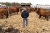 Iran War Cost Spike Straining Farmers Ahead Of Midterm Elections