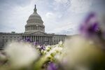 The U.S Capitol building in Washington, DC.