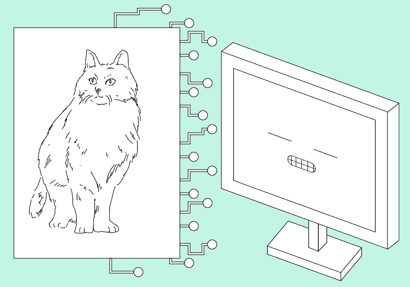 1487027170_cat-computer