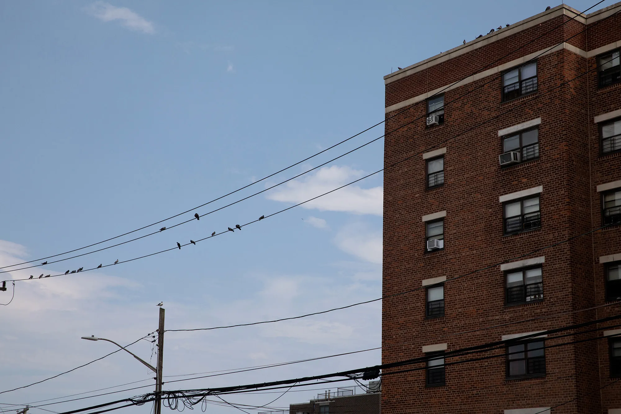 NYC Homes Queens