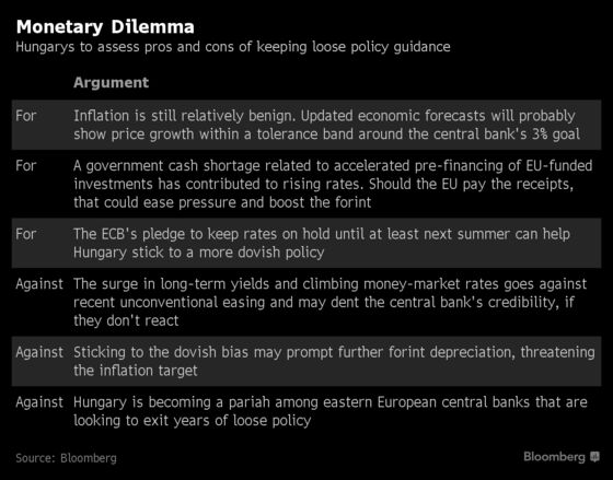 Emerging-Market Chaos Poses Dilemma for Hungary's Central Bank