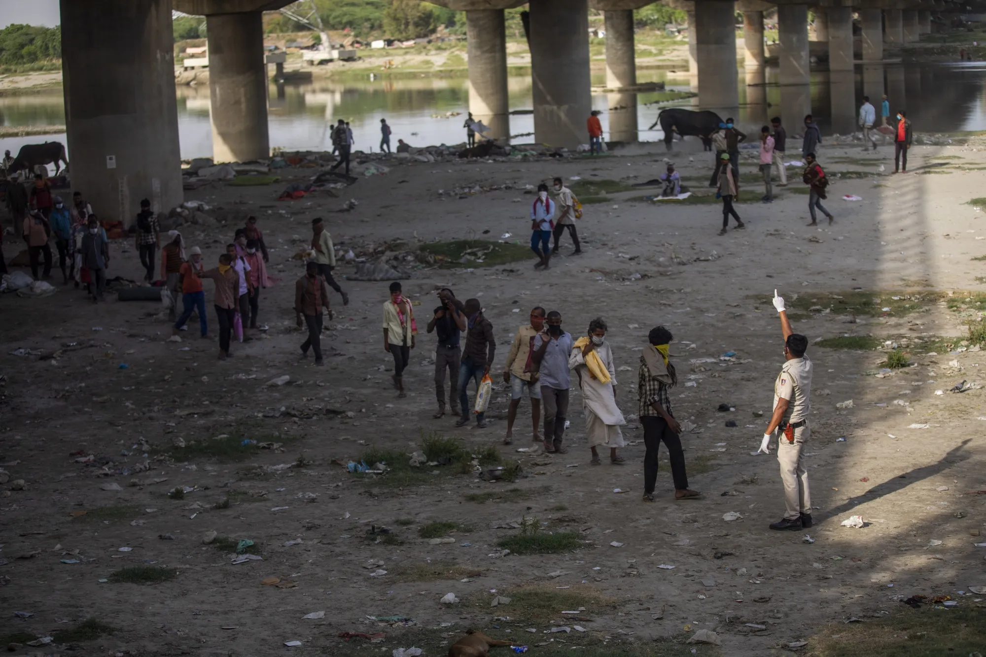 Migrant Workers in India May Shun Cities After Lockdown - Bloomberg