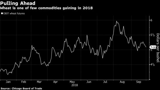 After Another Quarter of Losses, Is Worst Over for Commodities?