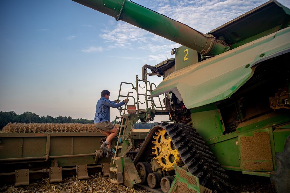 US Corn, Soy and Wheat Prices Fall on Post-Holiday Profit Taking